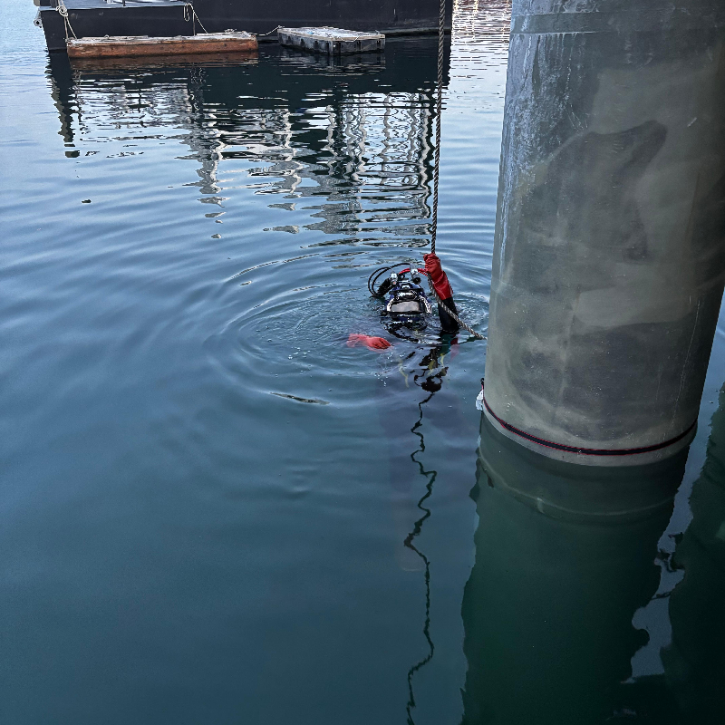 Diver in wetsuit swimming near a submerge dock post in a marina, with boats and calm water reflecting the surroundings.
