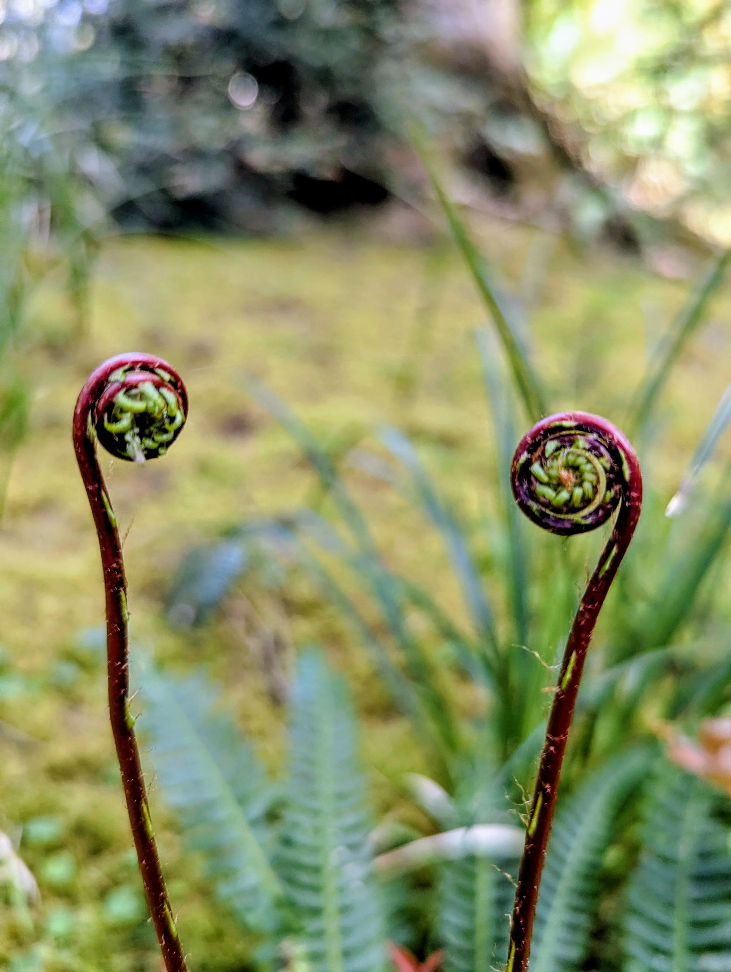 Birth Story Circle — May 17, 2026 (Circle Registration + Follow-up Reflection)