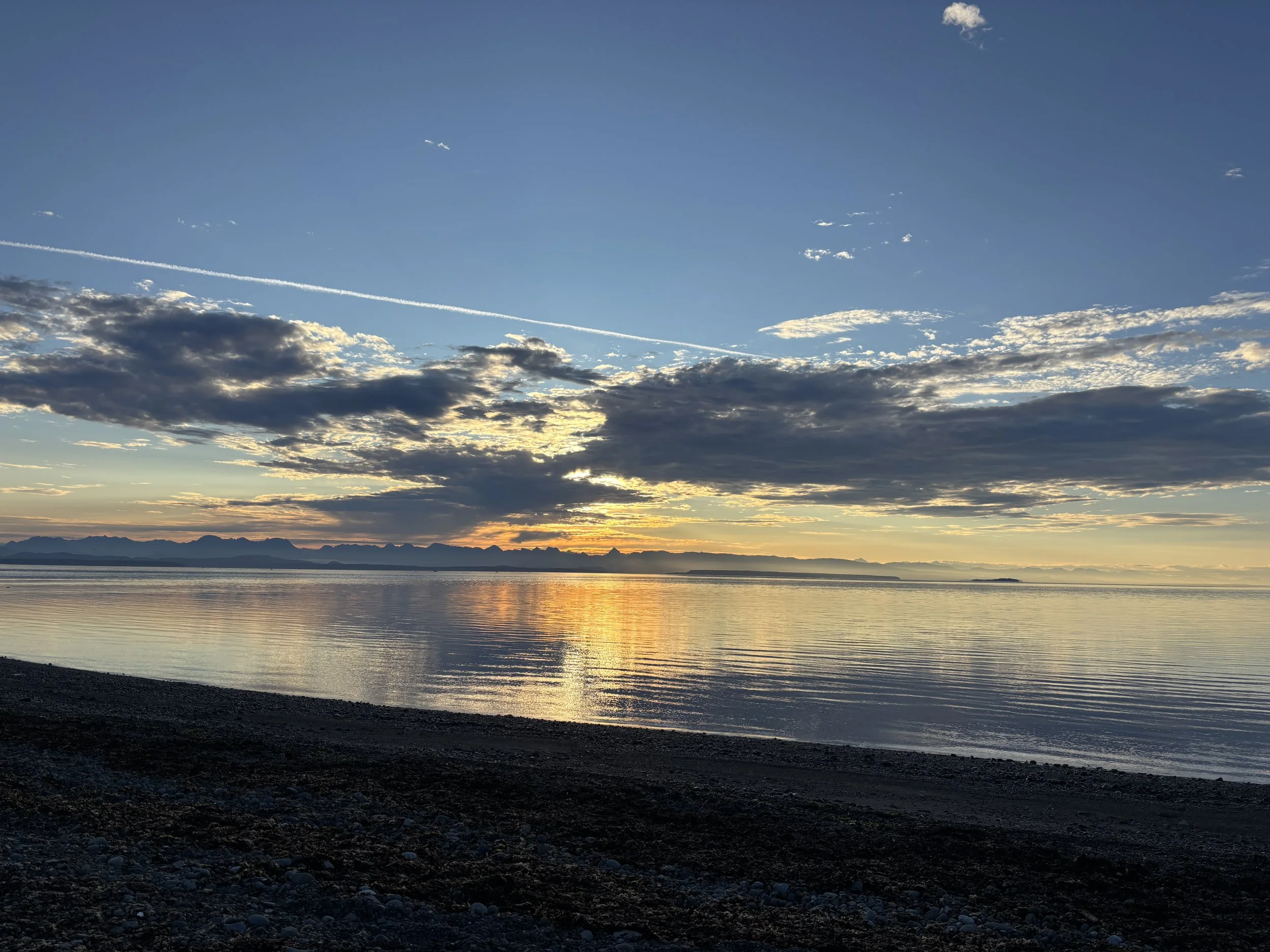 Humpbacks and Motivation
