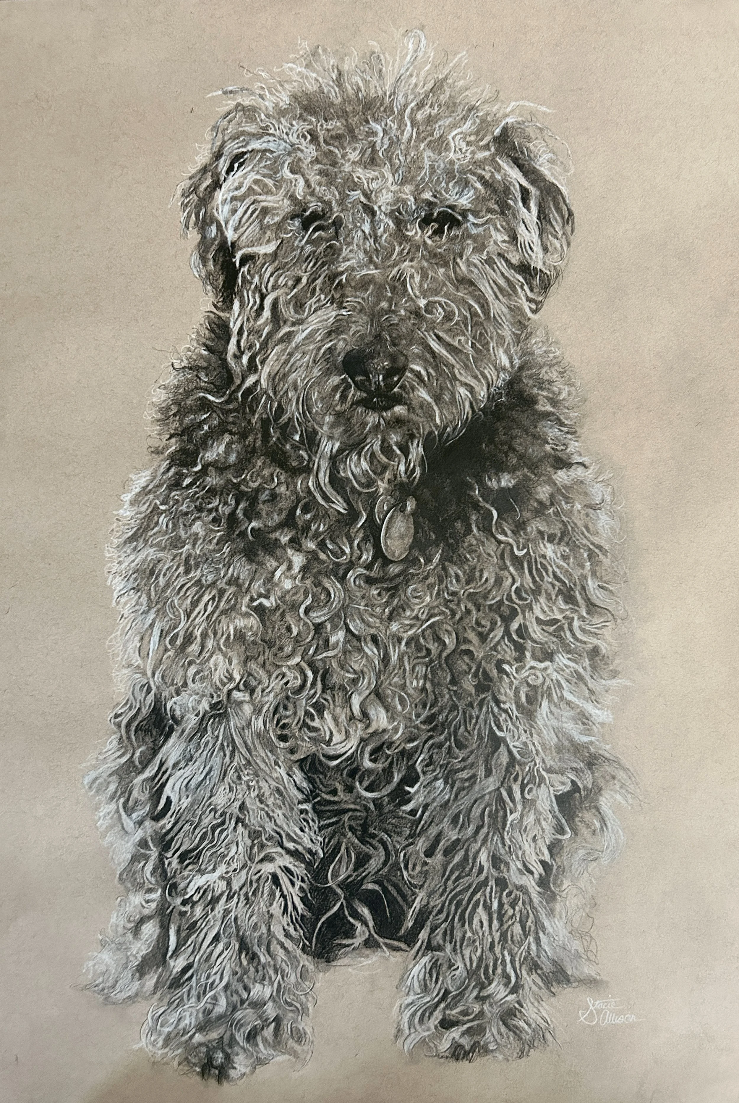 Stacie Allison - Portrait of Anna.jpg