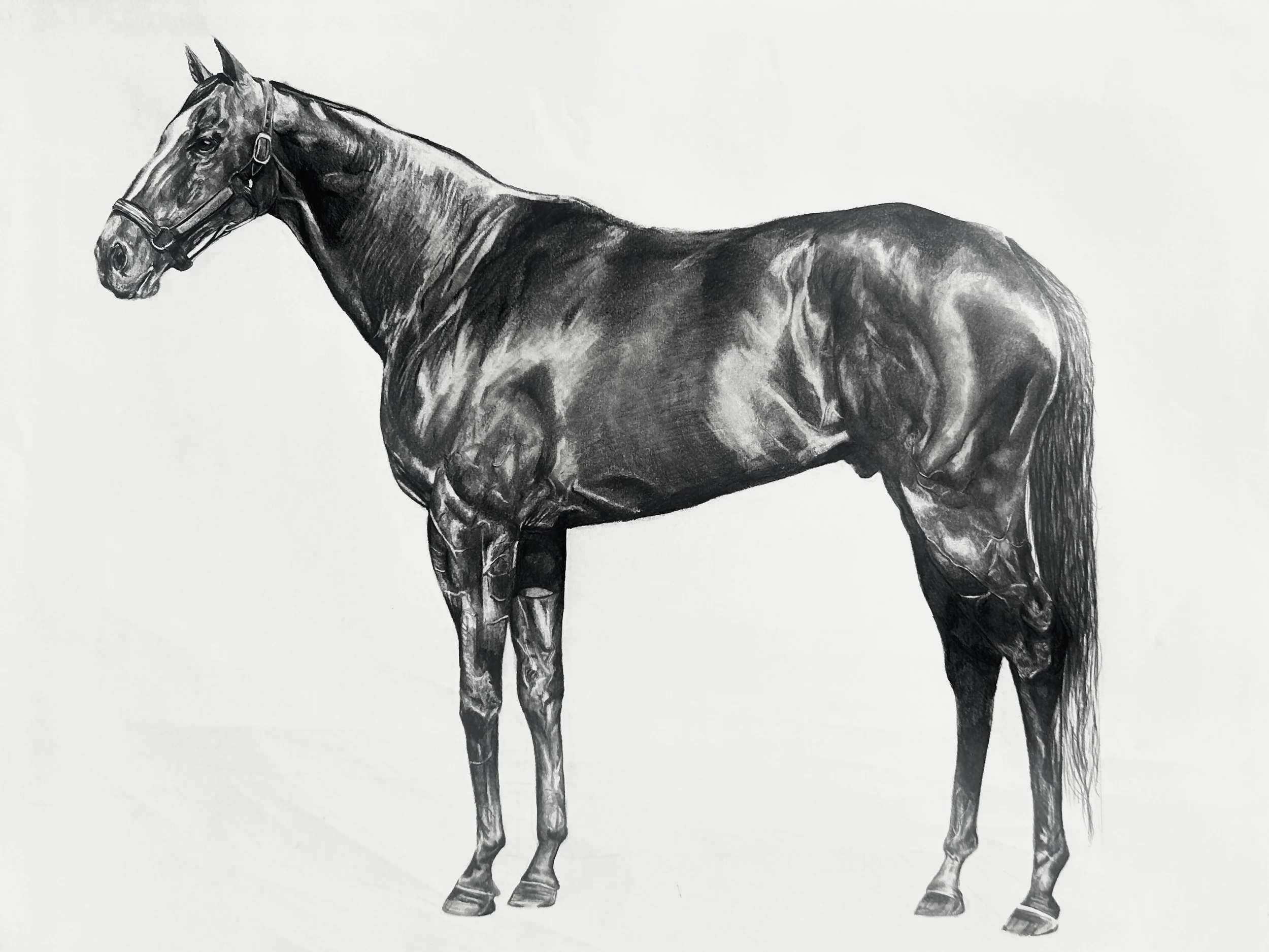 Stacie Allison - Horseplay.jpg