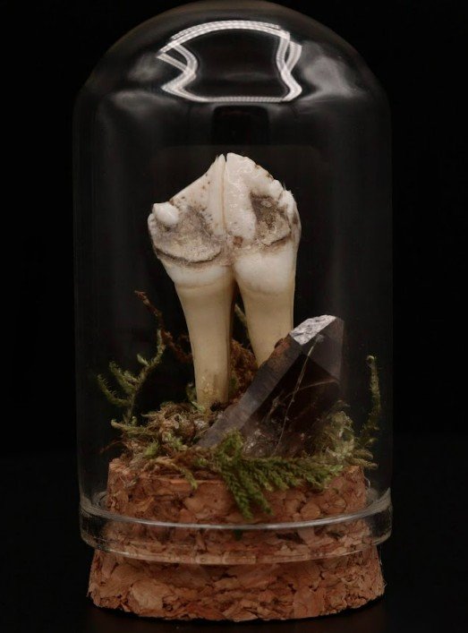 Screenshot 2026-02-03 131526.jpg