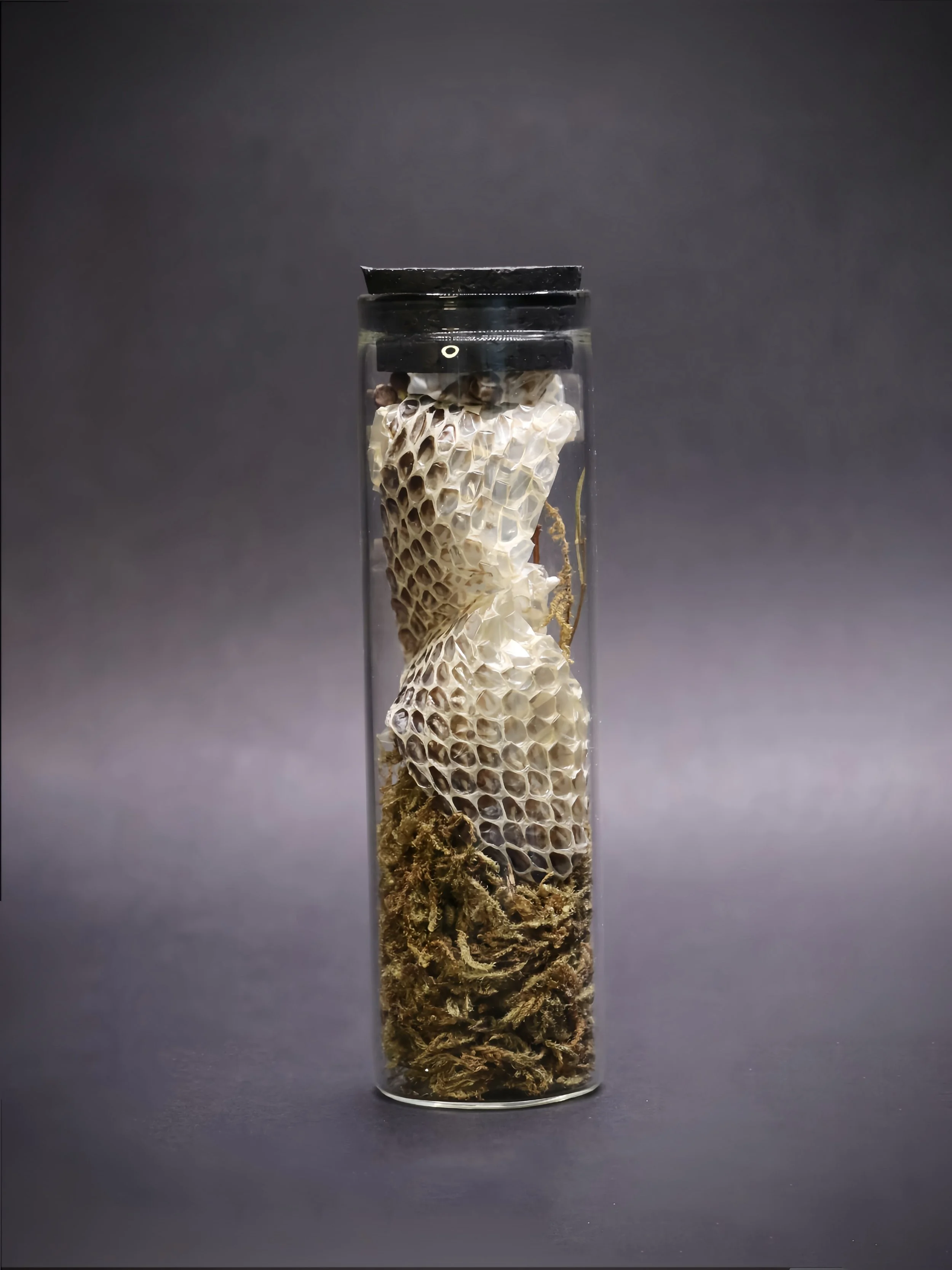 VIAL B-3.jpg