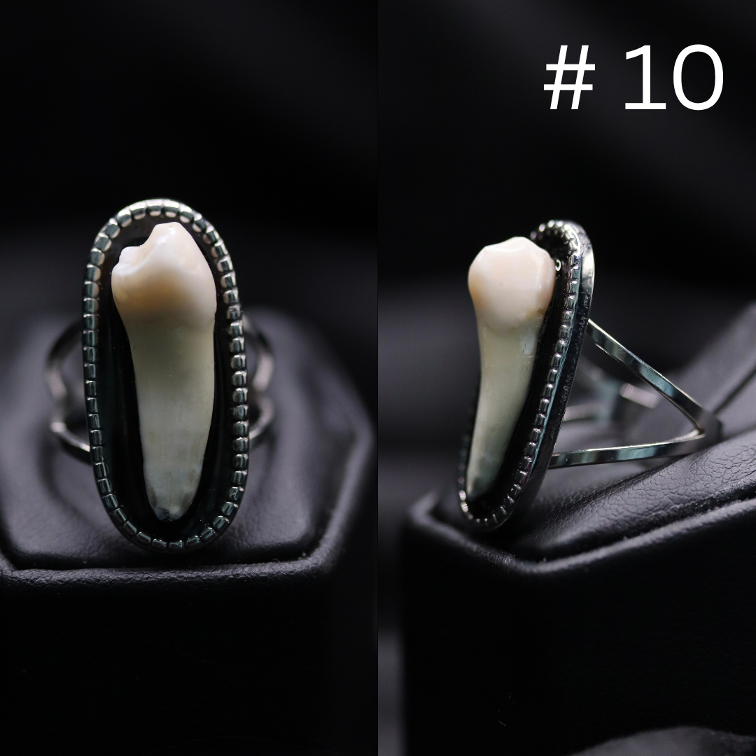 10.png