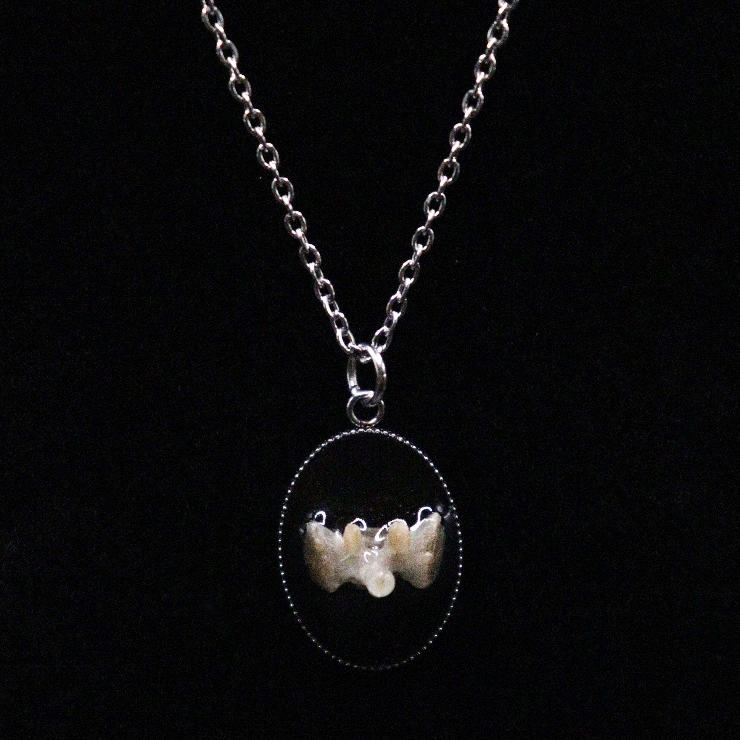 Fieldbone Vertebra Necklace | Multiple Styles