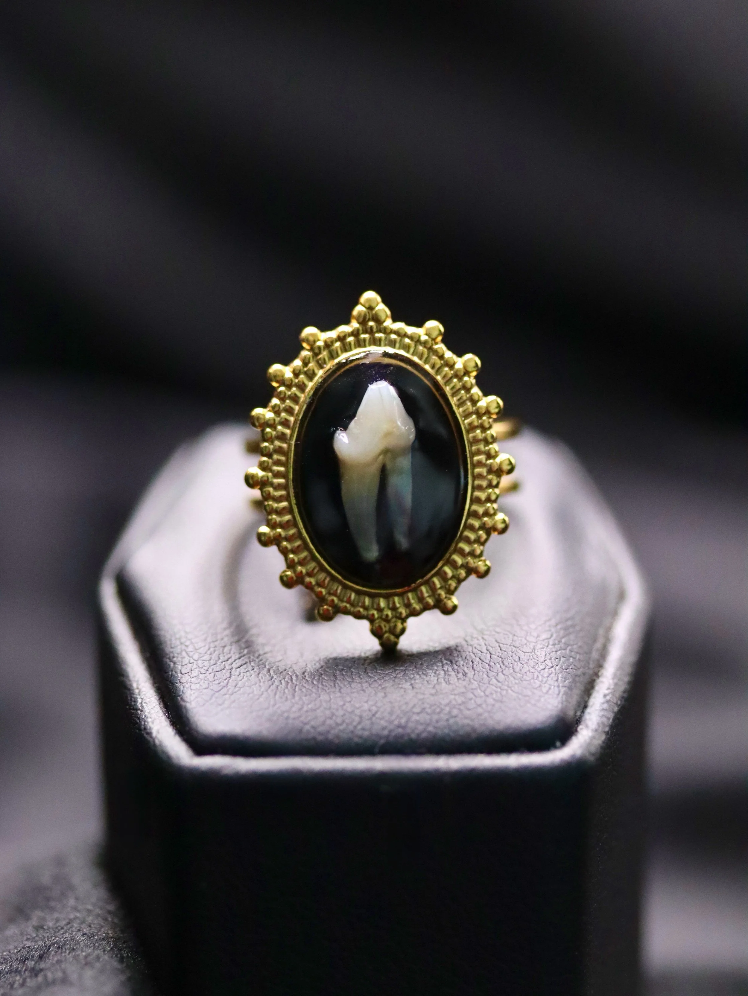 Diadem Ring | Silver or Gold