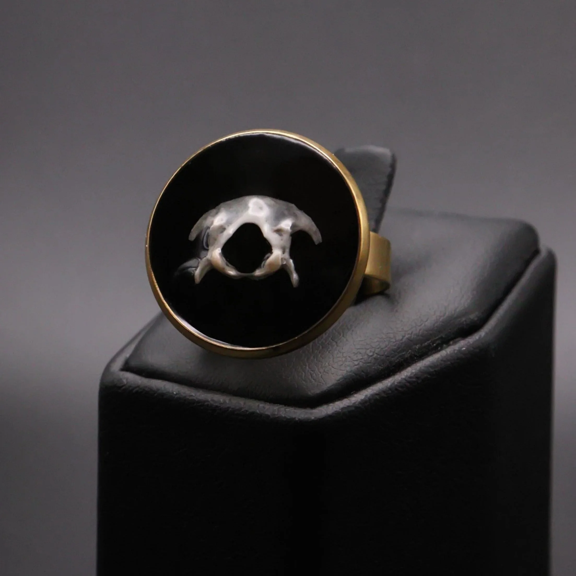 Rodentia Vertebra Ring | Multiple Styles