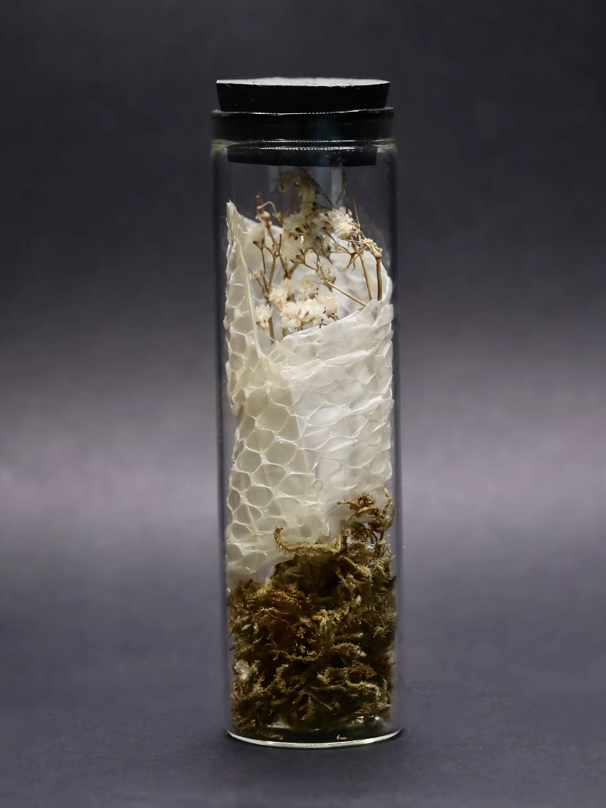 Snake Shed Vial | Multiple Styles