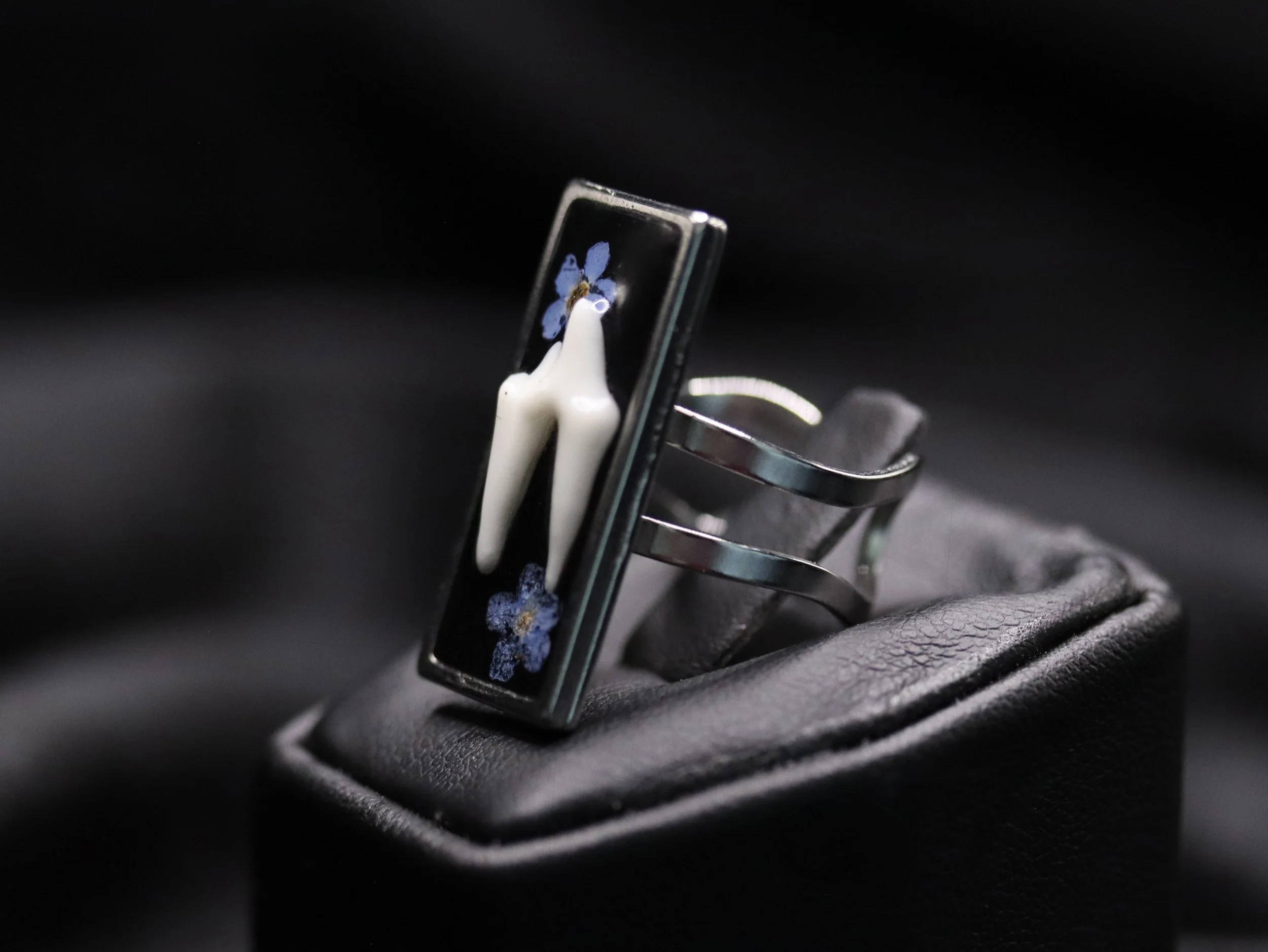 Premolar Ring