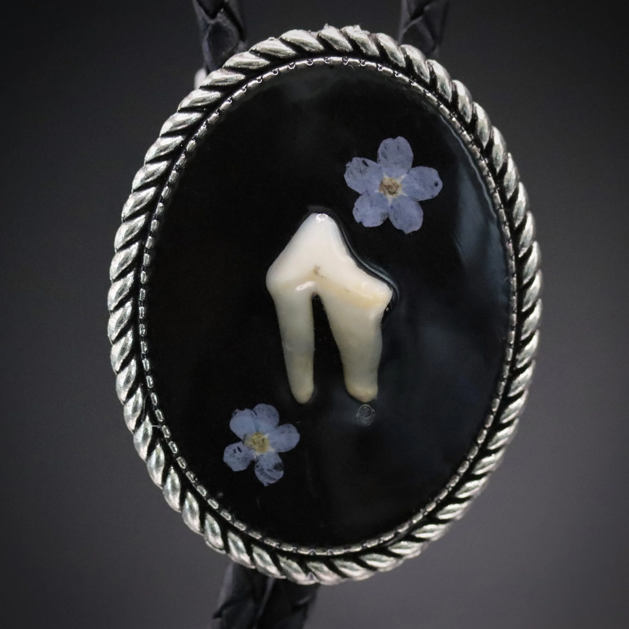 Mono Cuspis Bolo Tie | Multiple Styles