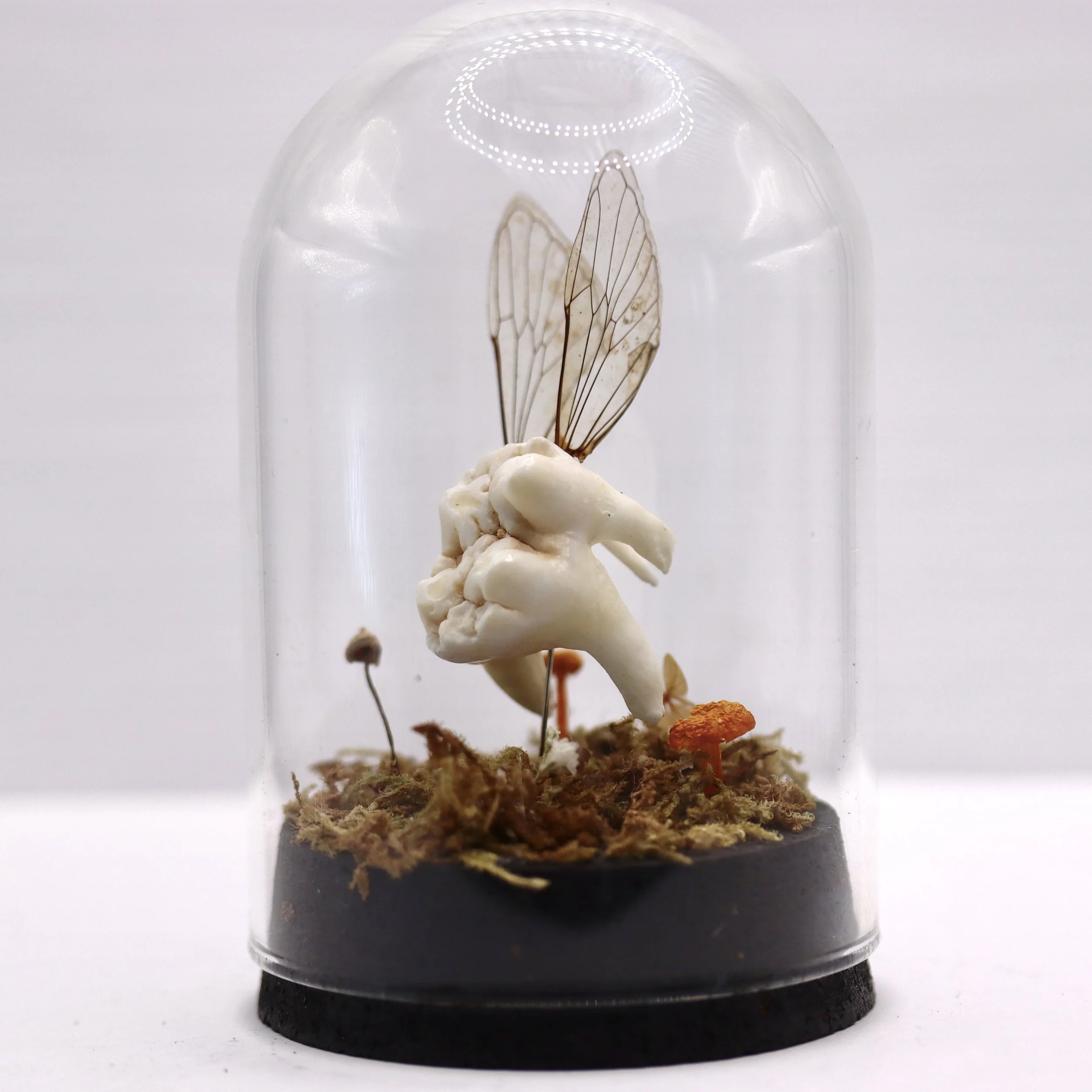 Tooth Fairy Dome