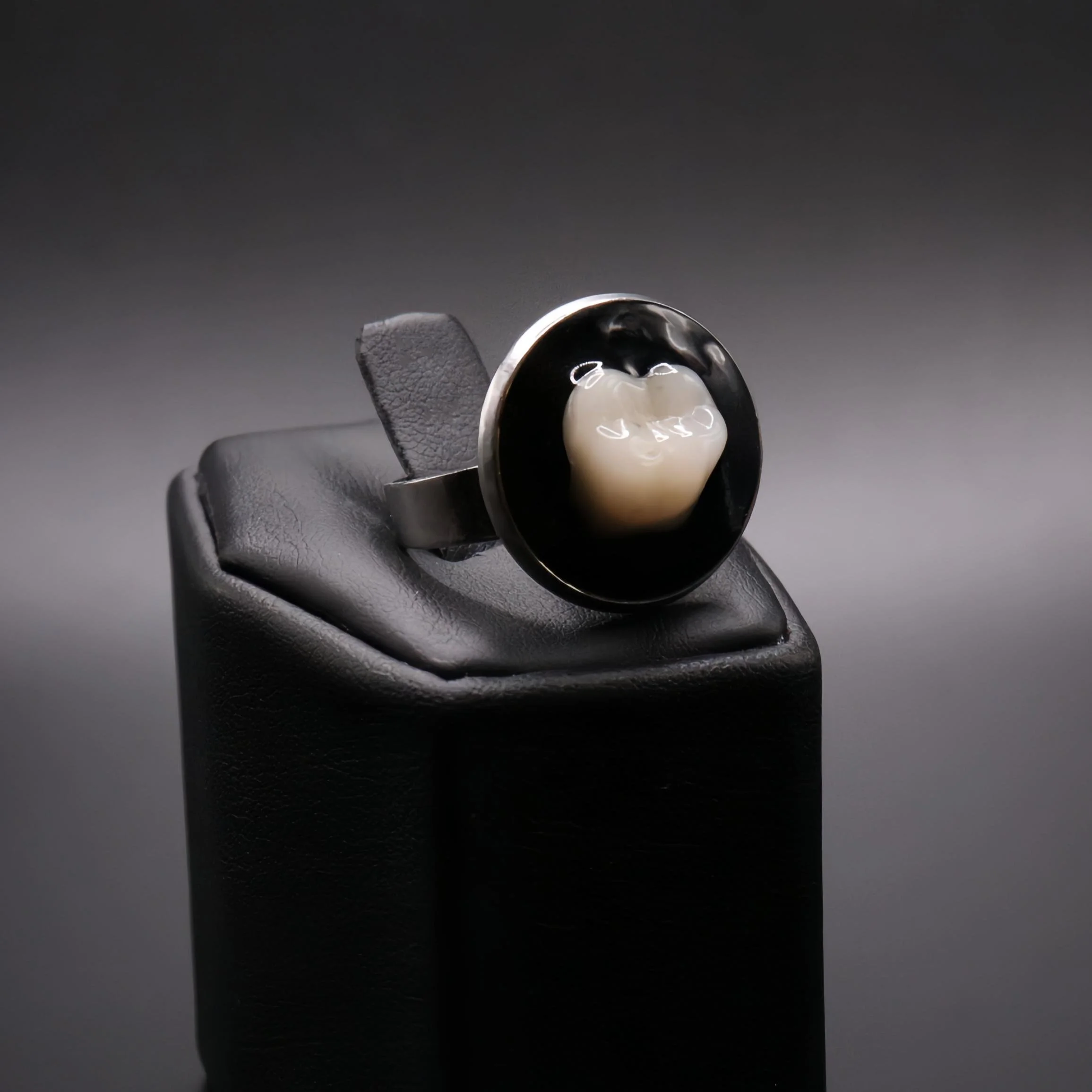 Human Molar Ring | Replica