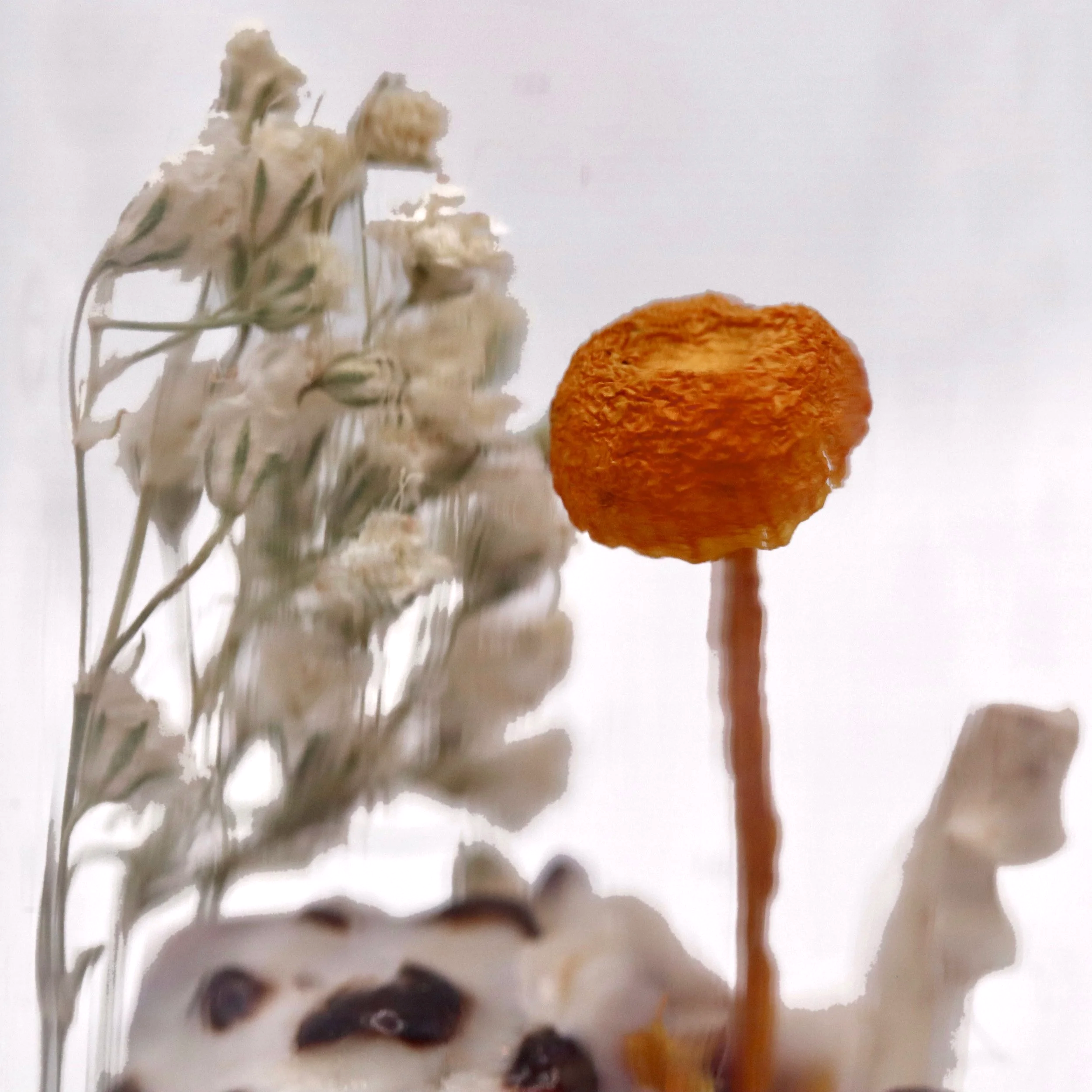 SIX_264B2CC5-10A8-4B46-8A06-B87CA087D052.png