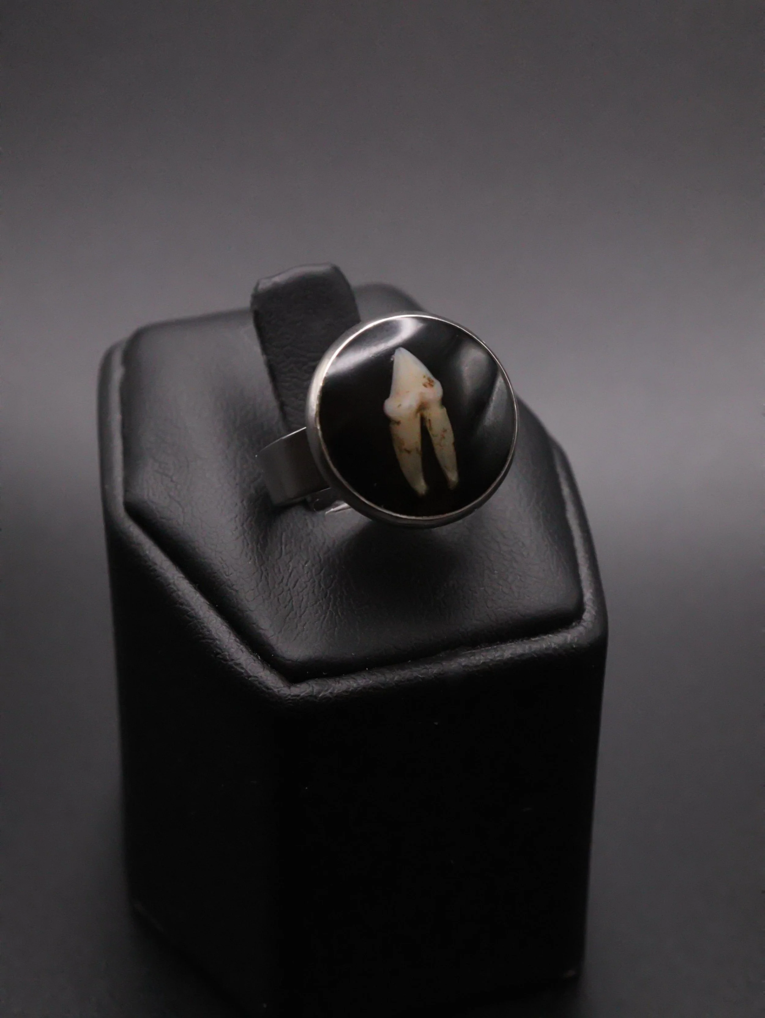 The Tiny Bandit Ring | Gold or Silver