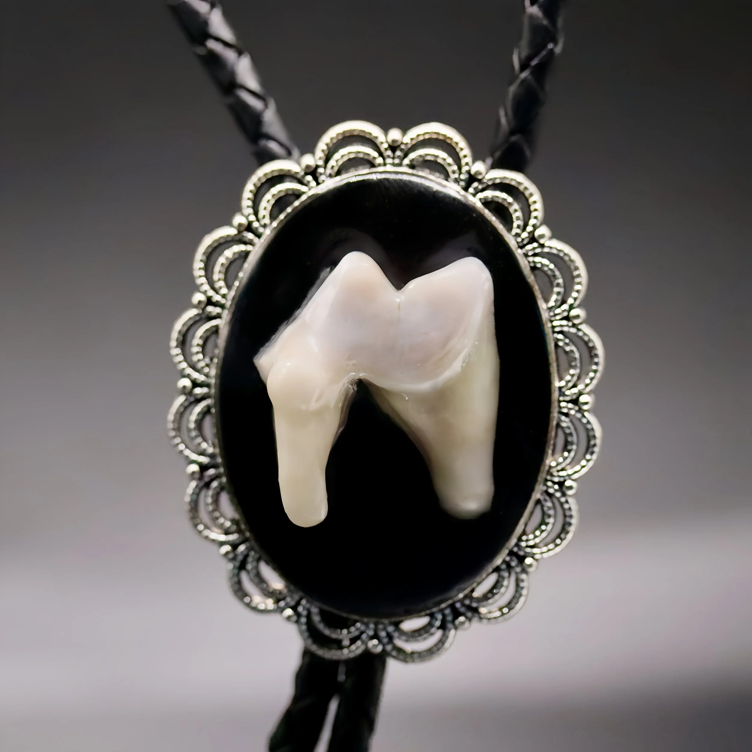 Chomper Bolo Tie | Multiple Styles