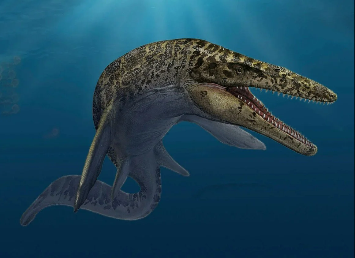 mosasaur.jpg