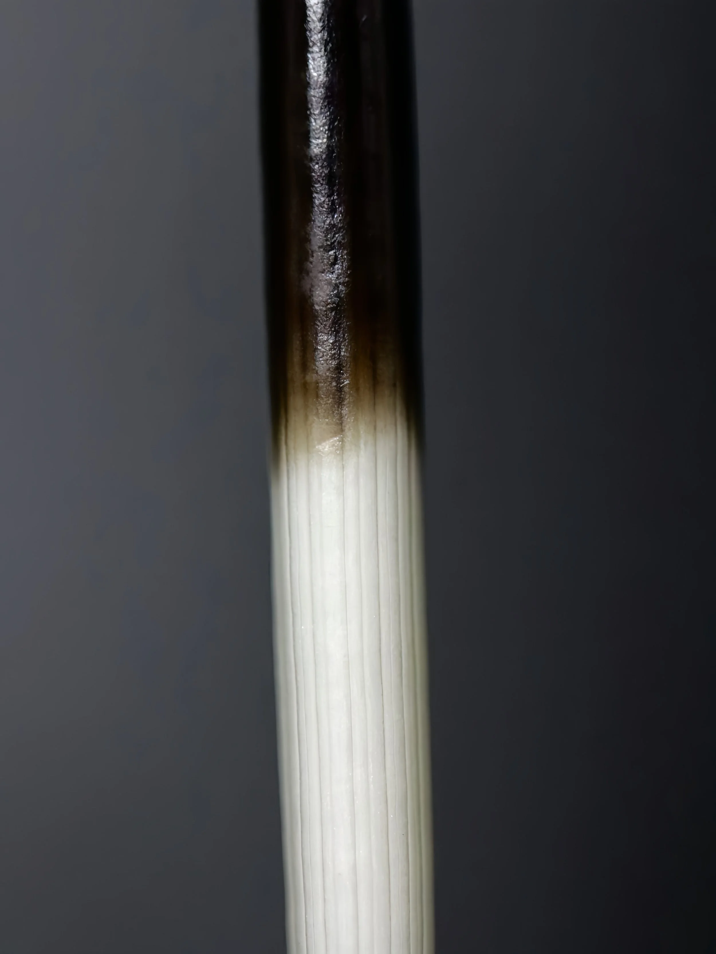 9F660D40-3D3E-474D-91C0-6FA4FD2E627E.JPG (Copy)