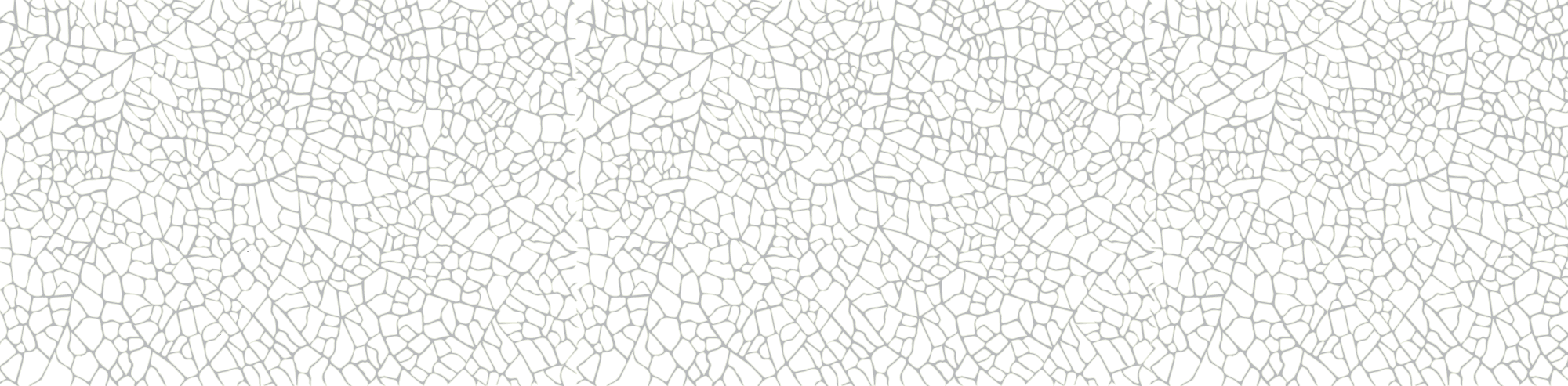Black background with white, irregular, web-like lines creating a cracked pattern.