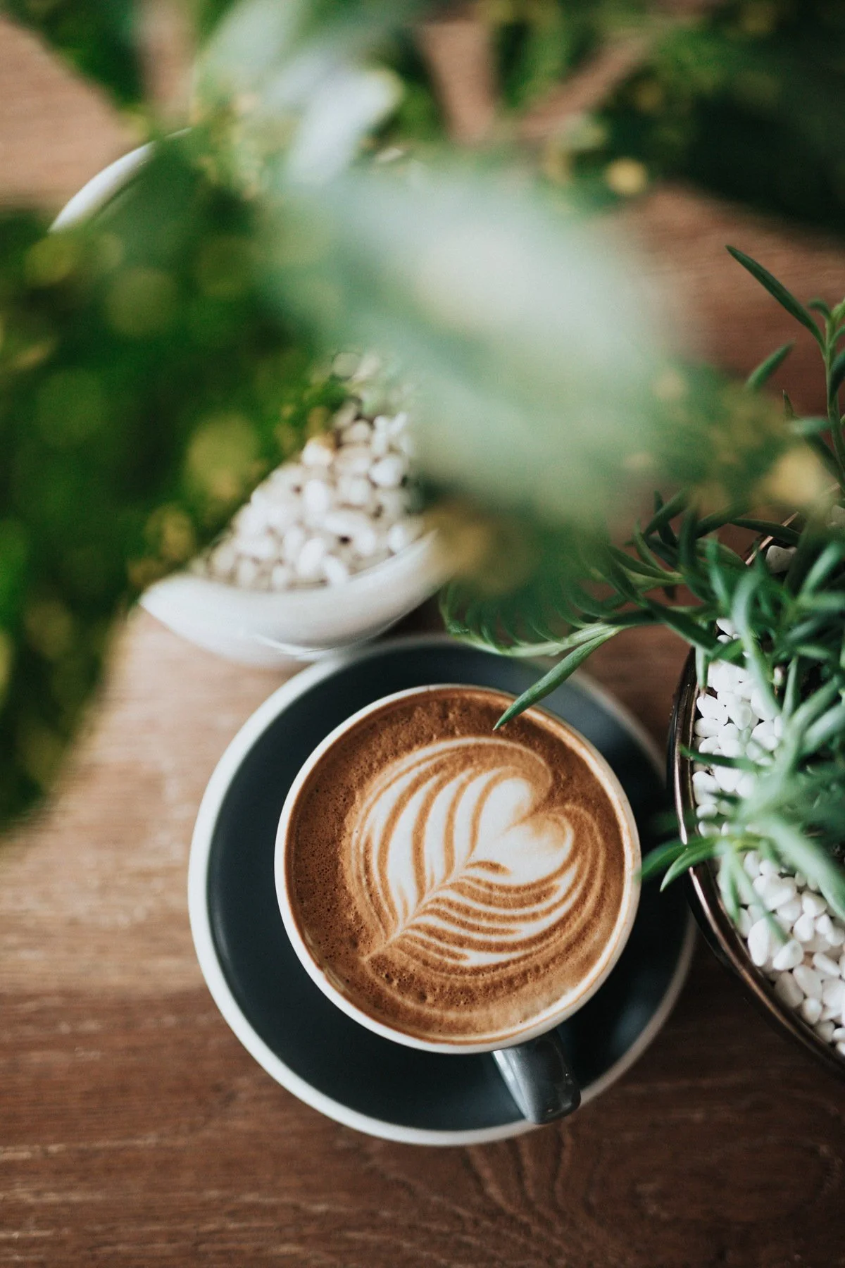 A cup of coffee with latte art on top, placed on a black saucer on a wooden table, surrounded by green plants in pots.