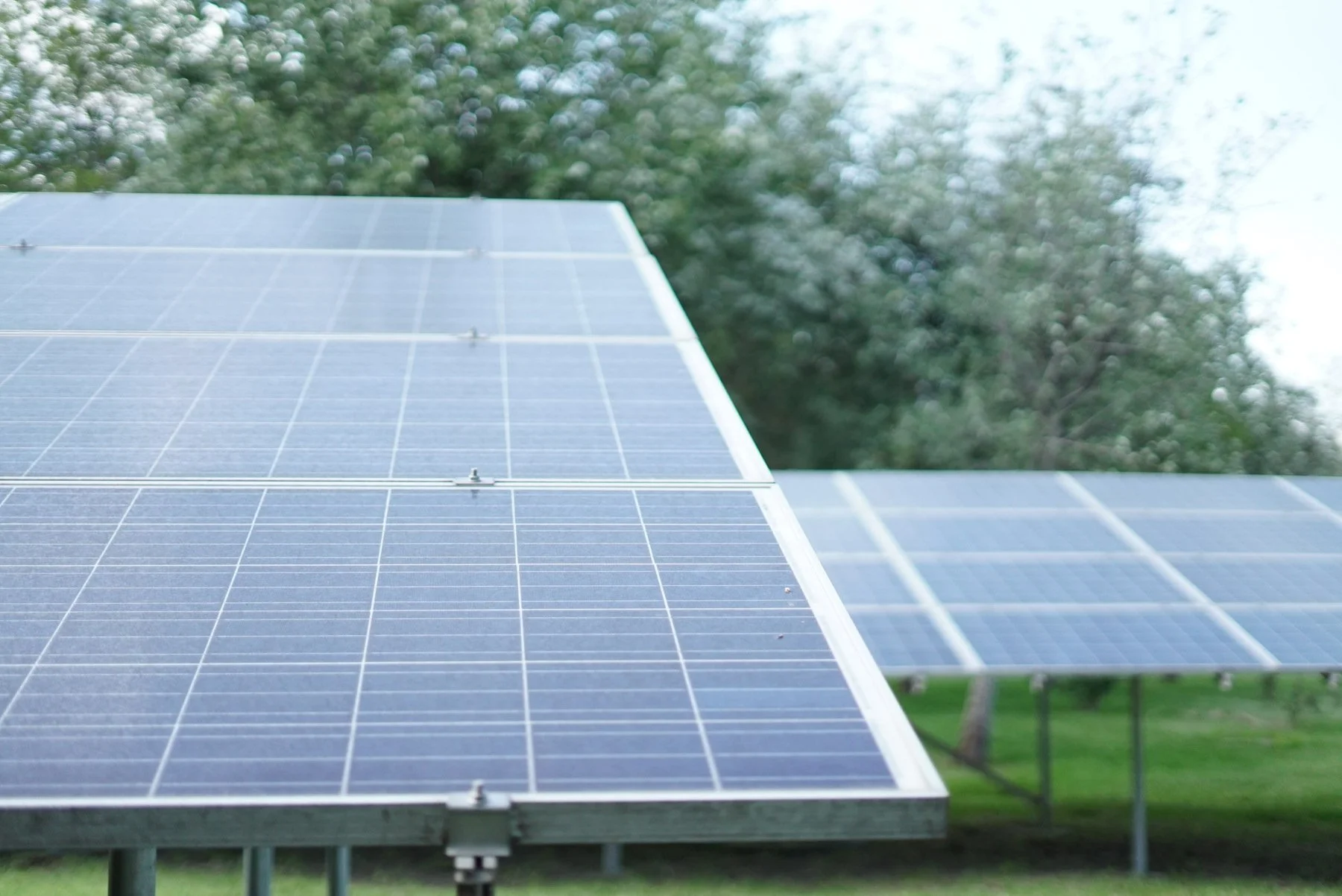 Multiple blue solar panels installed outdoors with trees in the background.