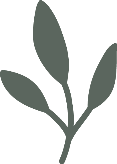 Silhouette of a plant with three leaves on a black background.