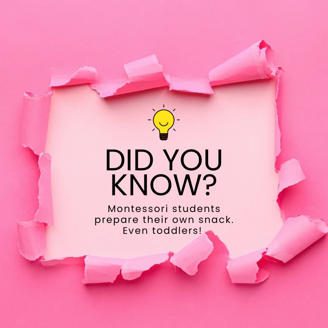 Montessori Education Week continues with our &ldquo;Did You Know?&rdquo; mini series full of fun facts that you may or may not know about traditional Montessori education! 

Instilling independence from a young age is a foundation of Montessori educa