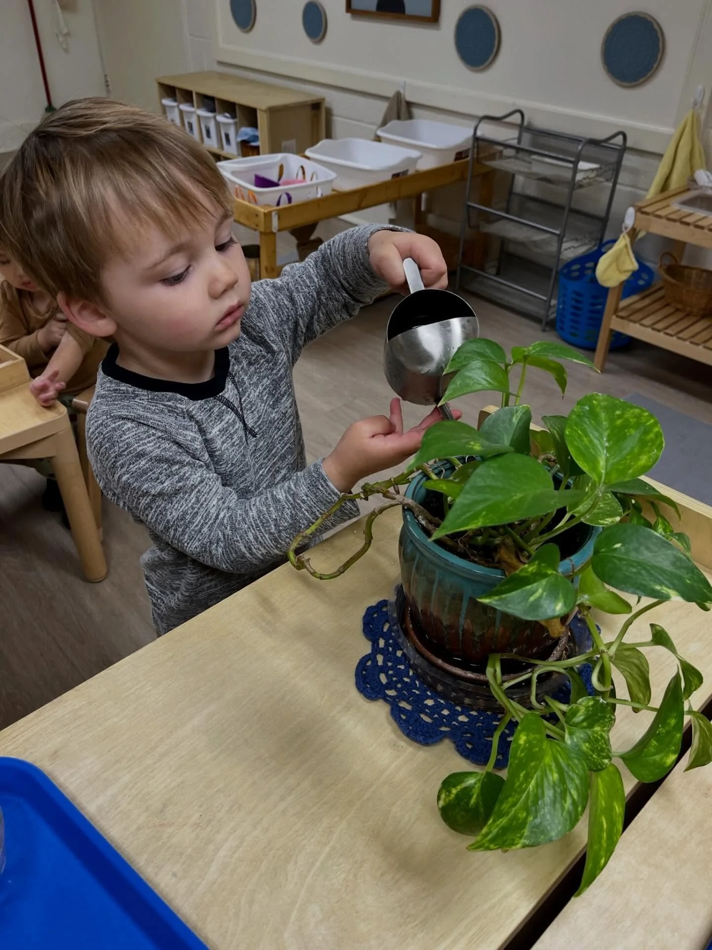 Happy New Year!! 

We hope everyone had a wonderful holiday season! As we look forward to the year ahead, we are so excited for what 2026 has in store for us (the year we open our doors!!!) and the families we get to share this journey with!

2026, t