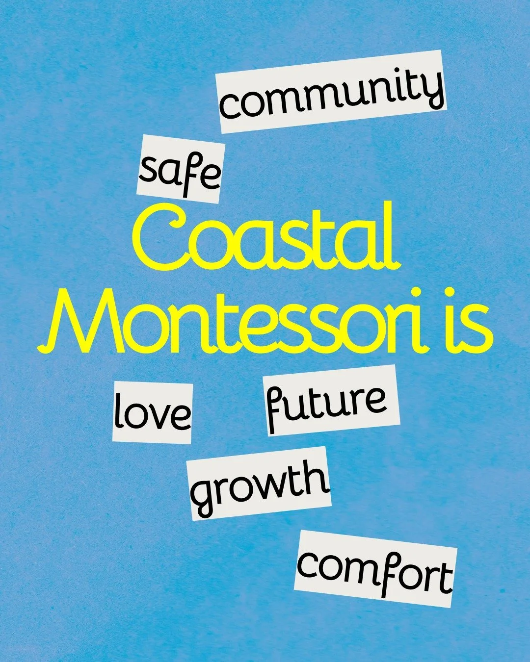✨Day SEVEN✨ 7 Words a Sharing

Coastal Montessori means to me _______

Please share in the comments what CMS means to you so we can create a word cloud that joins everyone&rsquo;s words together as a reminder of the beauty we&rsquo;re creating for th