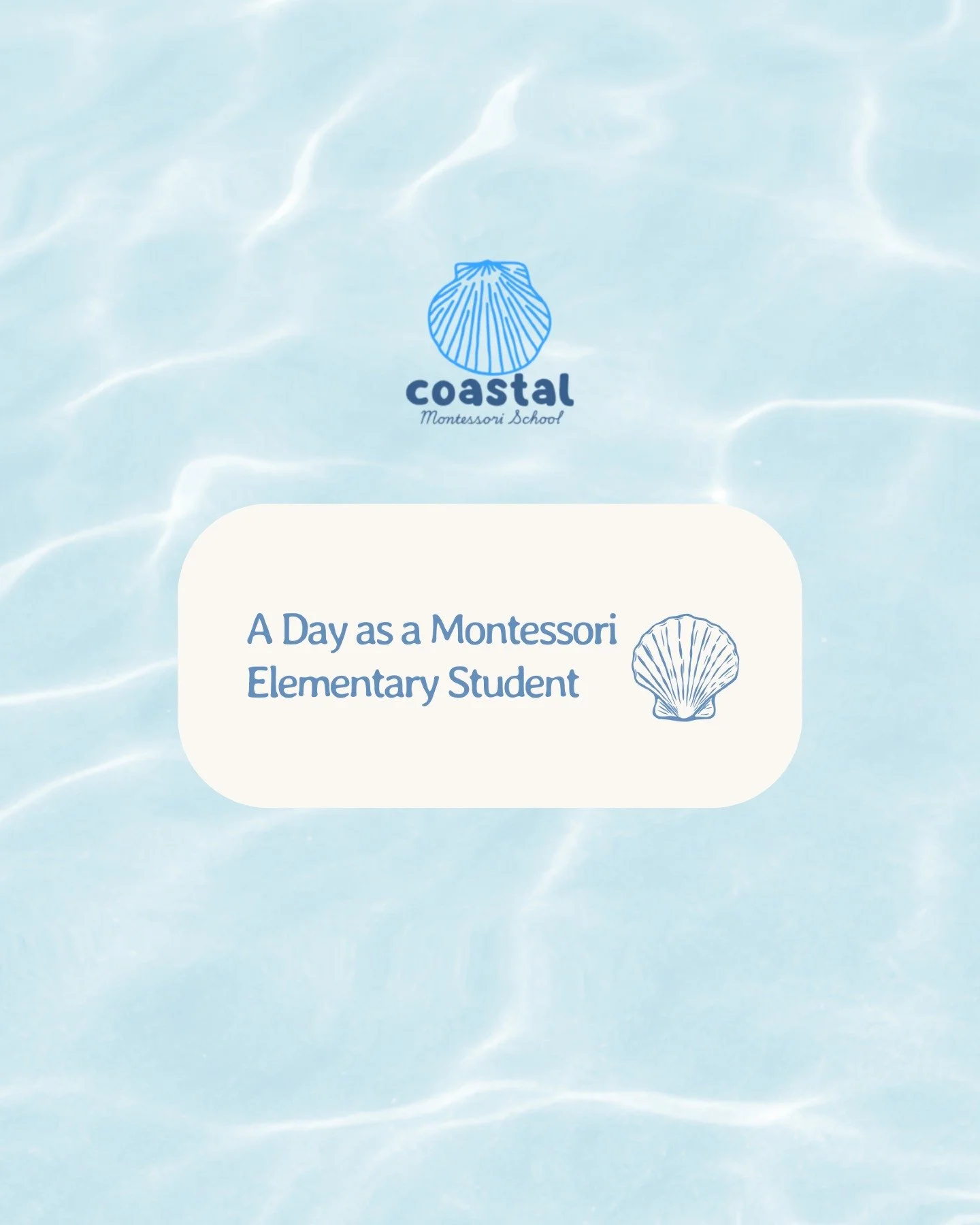 What does Montessori look like in elementary?

It looks like:

✨ Independent thinking
✨ Collaboration
✨ Leadership
✨ Curiosity
✨ Purposeful work
✨ Lots of Movement
✨ NO screens

Students begin taking ownership of their learning through project work, 