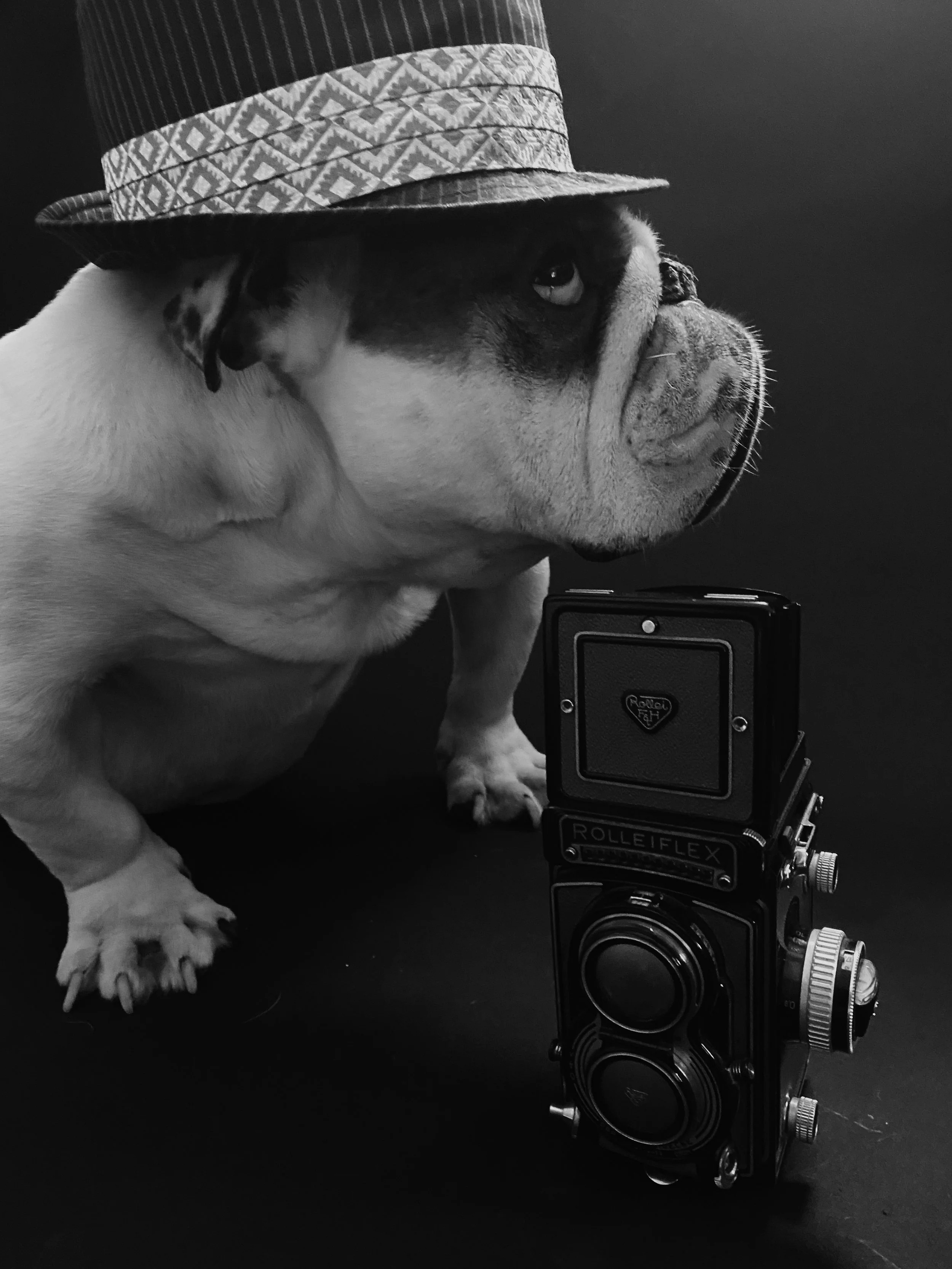 camerabw(1).jpg