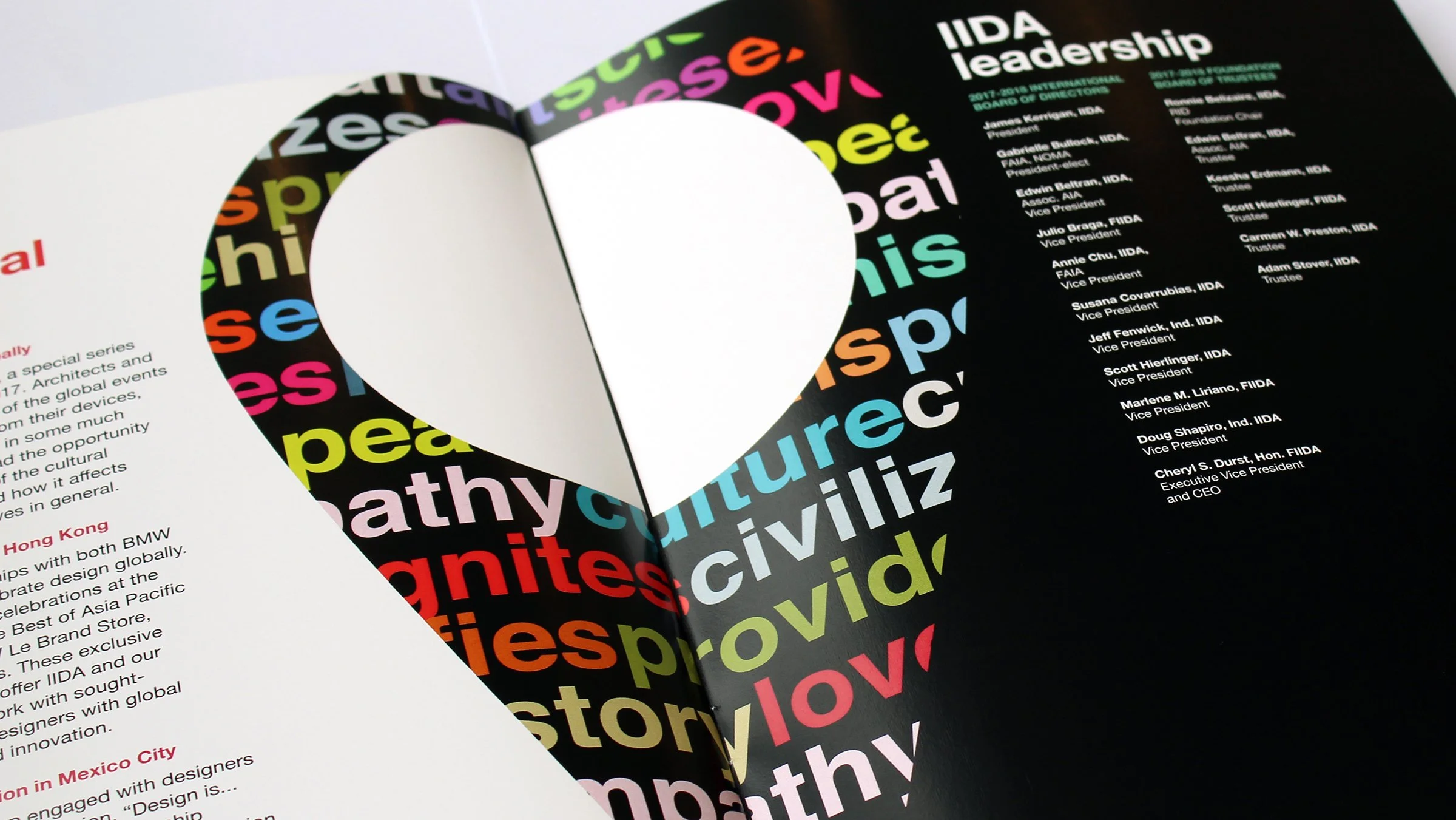 IIDA_annualreport.jpg