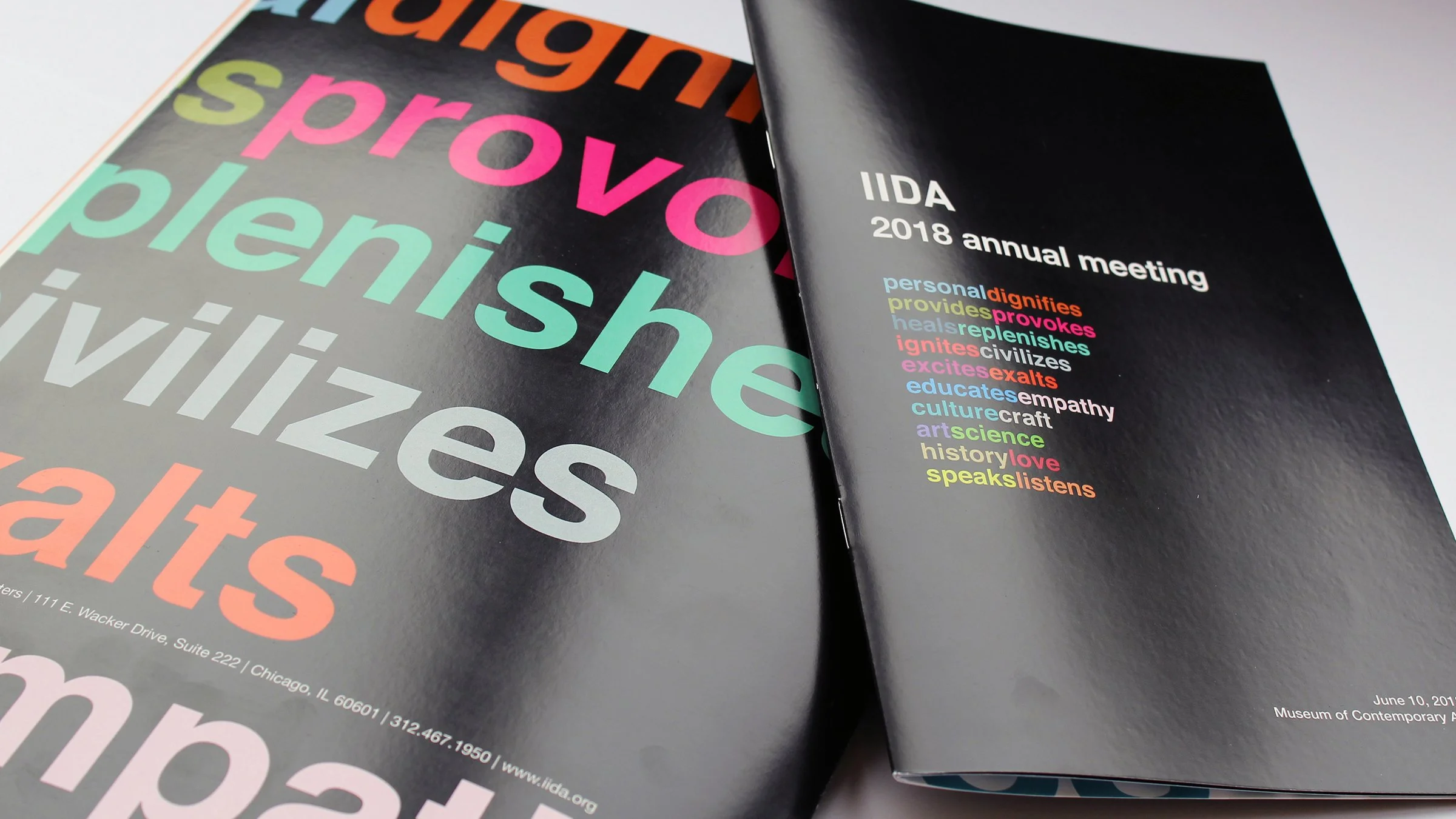 IIDA-annual-program.jpg