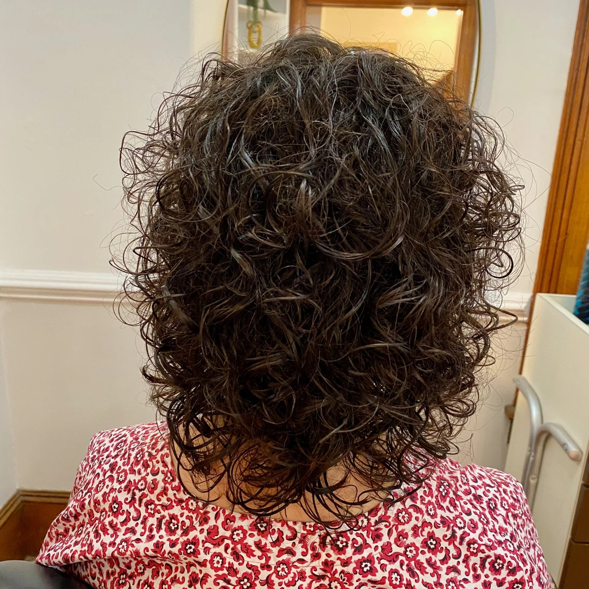 A head of short, curly brown hair, viewed from the back, with a red and white patterned shirt.hairstyling by Revampt Hair Doylestown PA.jpg