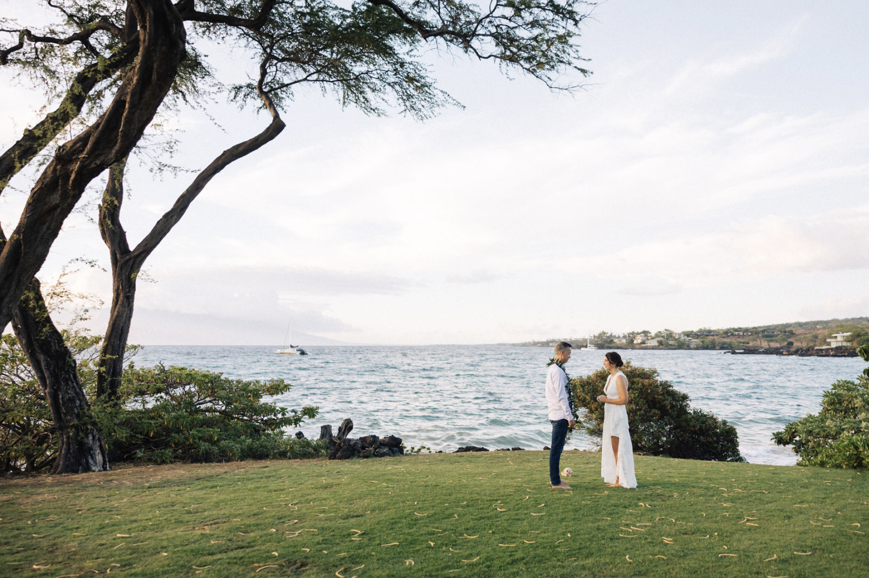 Screenshot 2026-02-20 at 11.13.05 AM.png