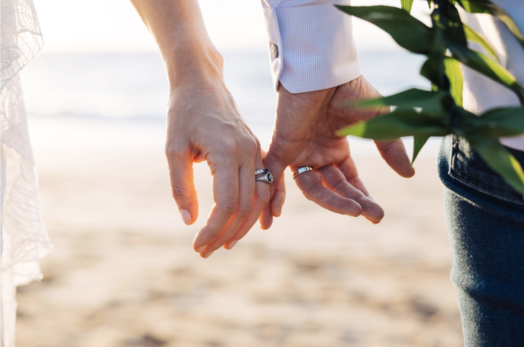 Screenshot 2026-02-20 at 11.24.05 AM.png