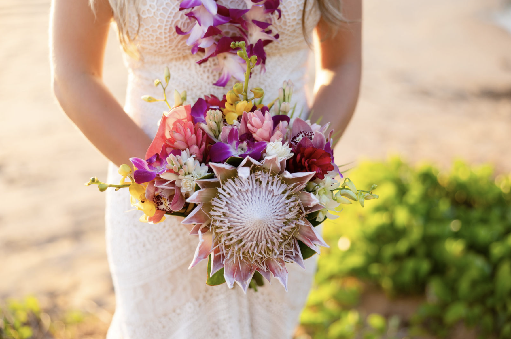 Screenshot 2026-02-20 at 11.46.01 AM.png