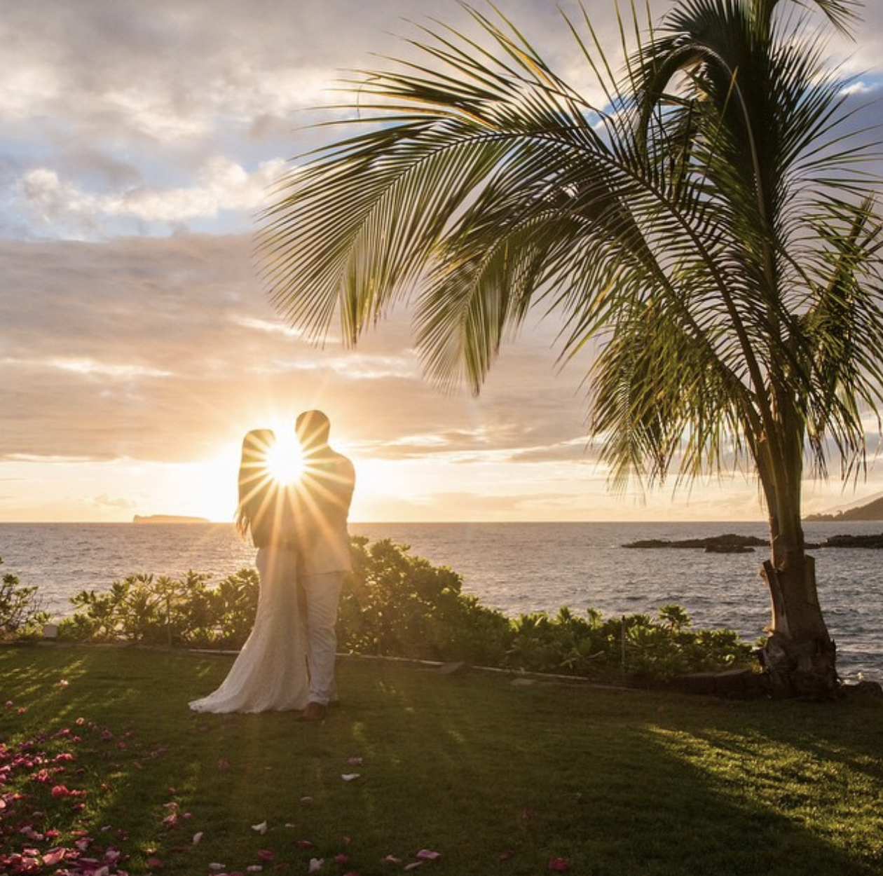 Screenshot 2026-01-12 at 8.27.18 PM.png