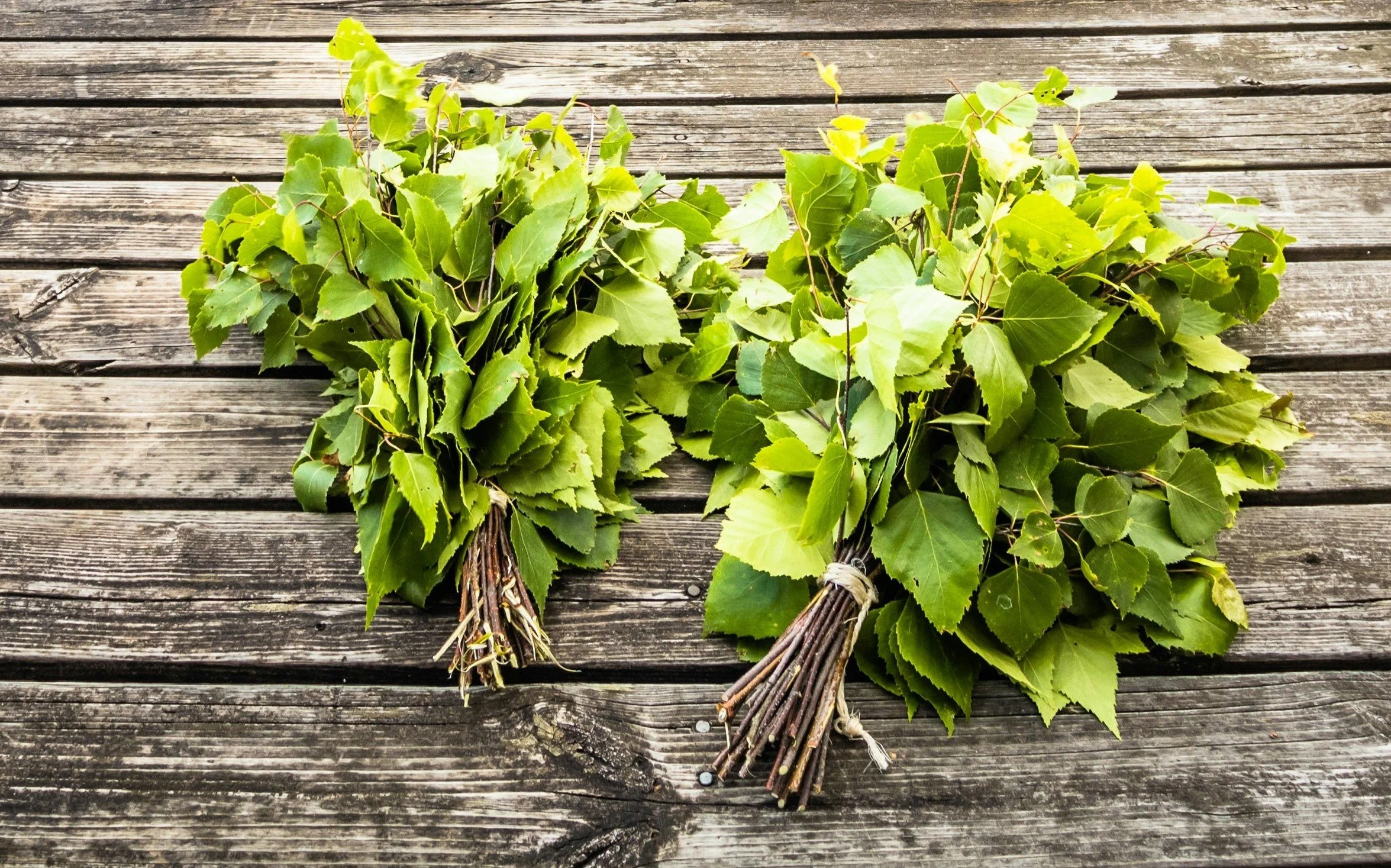 Sauna traditions: Nordic roots and why we do things the Finnish way