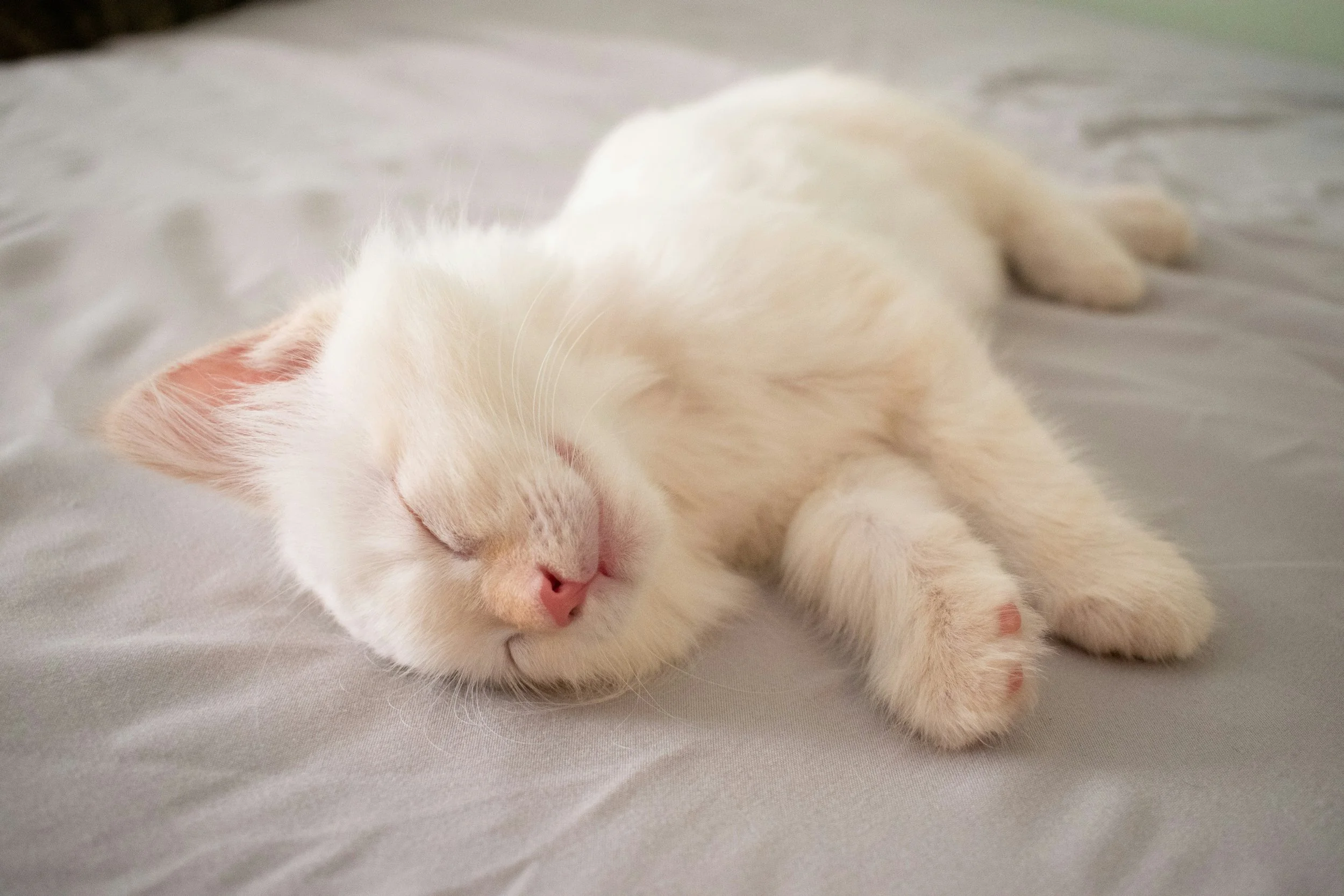 Can sauna help YOU sleep better?