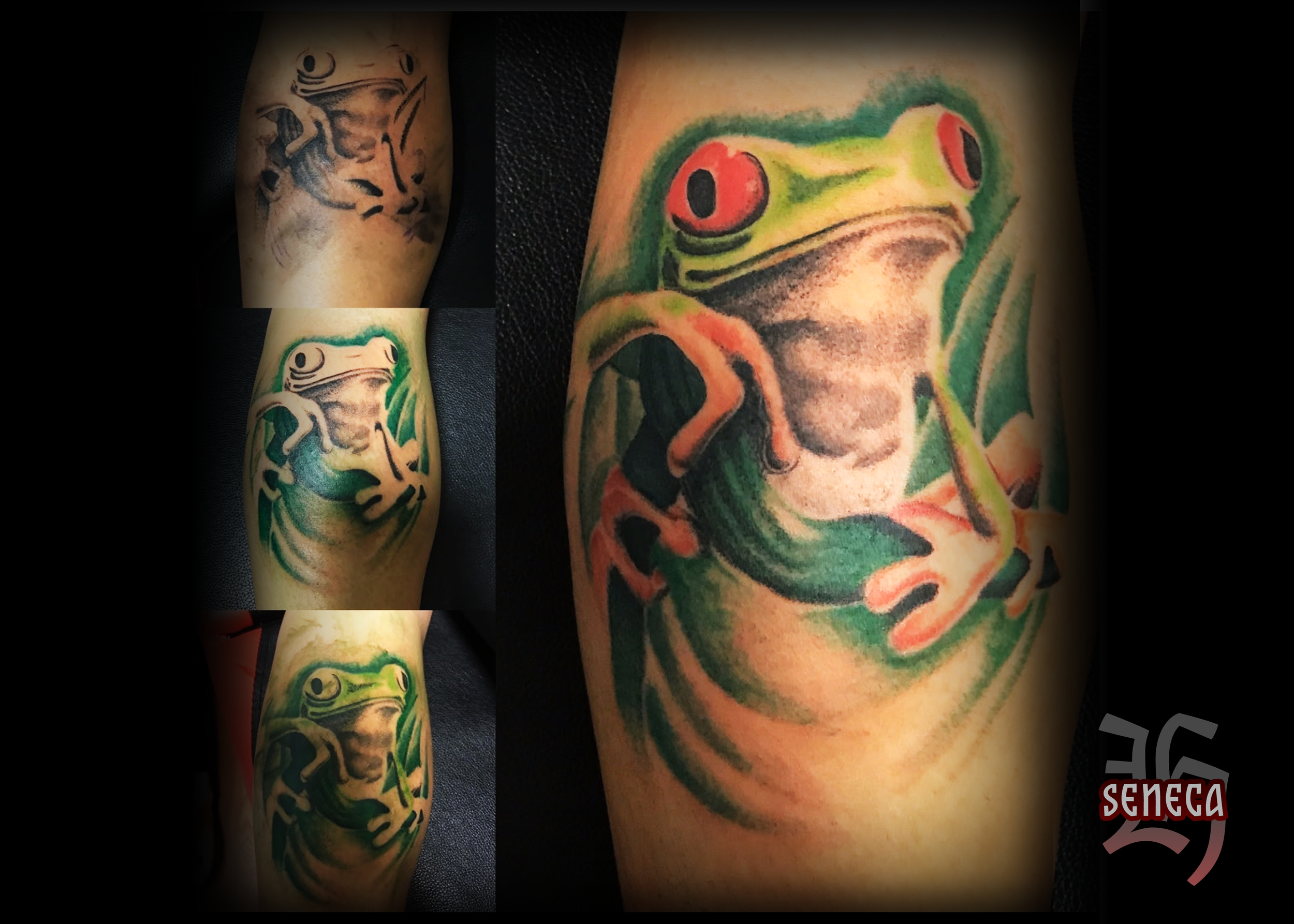 A Seneca Hopps color realism frog tattoo.