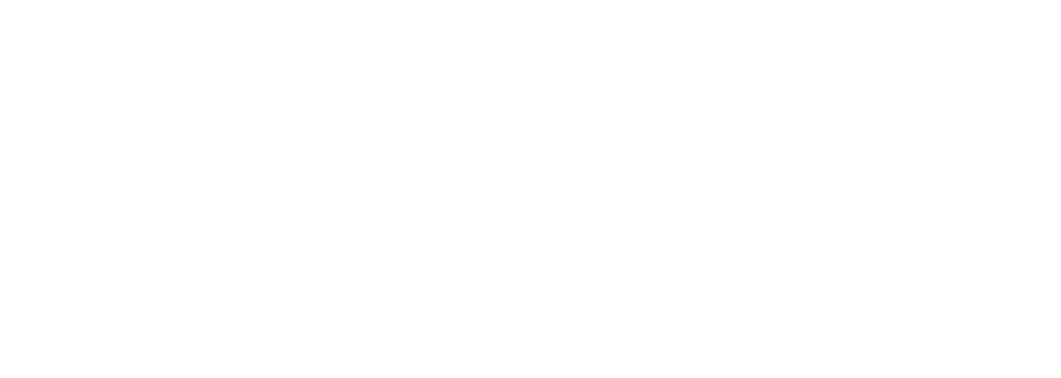 Theuzzo