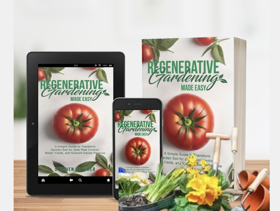 Screen Shot 2024-09-29 at 5.36.50 AM.png