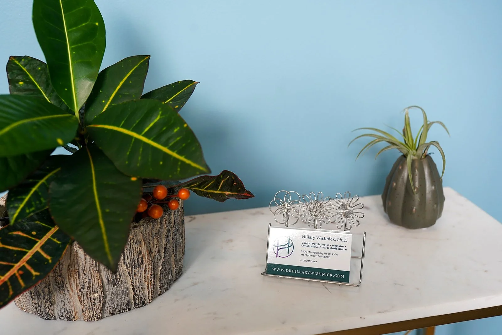 Decorative indoor display with large leafy plant in a textured pot, small orange berries, a white marble surface, a photo business card with the name Hillary Wishnick, Ph.D. and contact information, and a grey vase with green plant, all against a light blue wall.