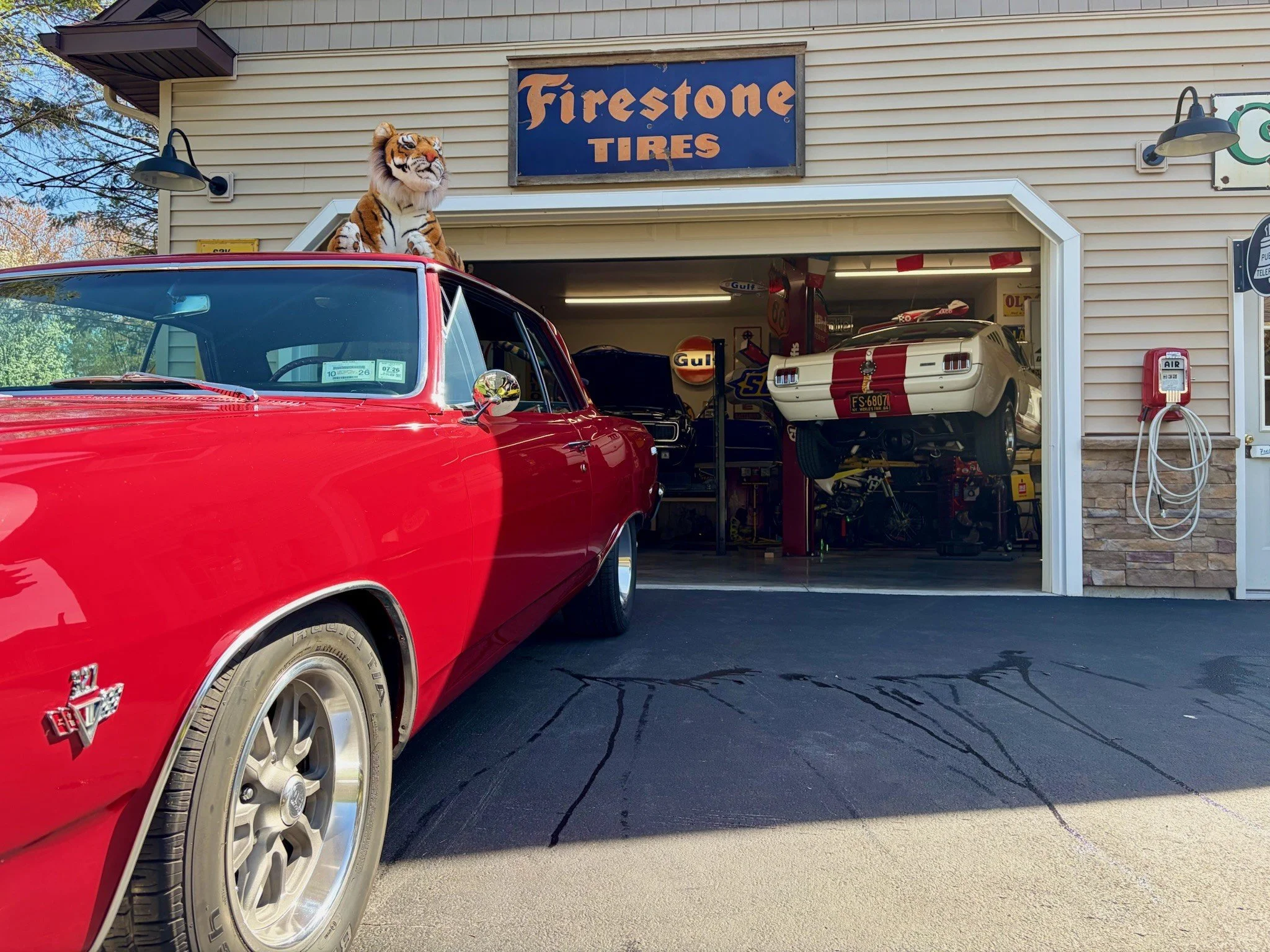 A red Chevrolet Corvette parked outside a garage with vintage cars inside. There is a large tiger plush toy on top of the car, wearing a white shirt, in front of a sign that reads 'Firestone Tires'.