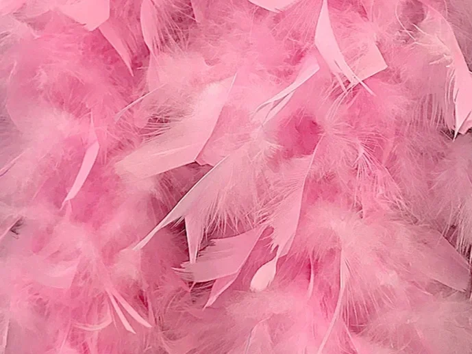 light_pink_chandelle_boa_feather_heavy_weight6__40230.1566941128.1280.1280.webp