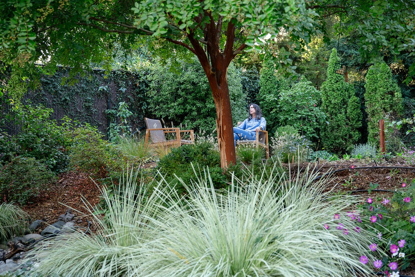 Pollinators and Edibles, Fair Oaks 