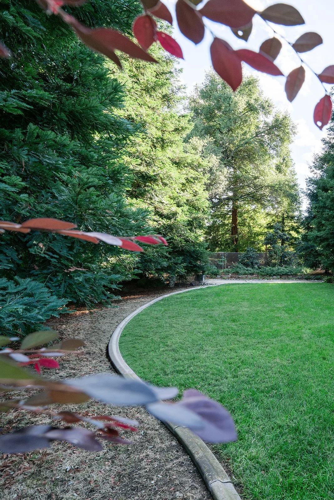 Expanding an Ecosystem, Fair Oaks 