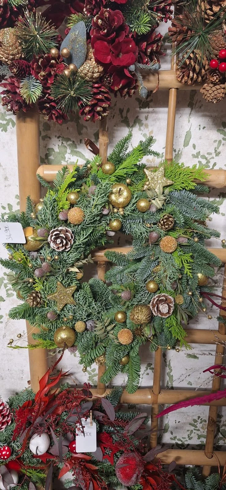 WhatsApp Image 2025-12-14 at 15.21.22 (2).jpeg