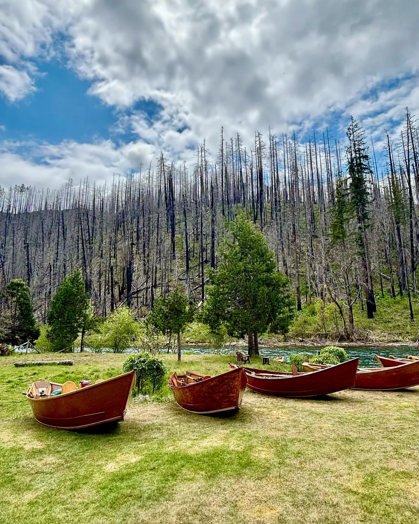 A couple of weeks ago, I attended the Wooden Boat Festival at the Eagle Rock Lodge on the McKenzie River. Had a great time connecting with the legends of the craft, seeing old friends, and meeting new ones. 
#woodboat
#woodboats
#driftboat
#driftboat