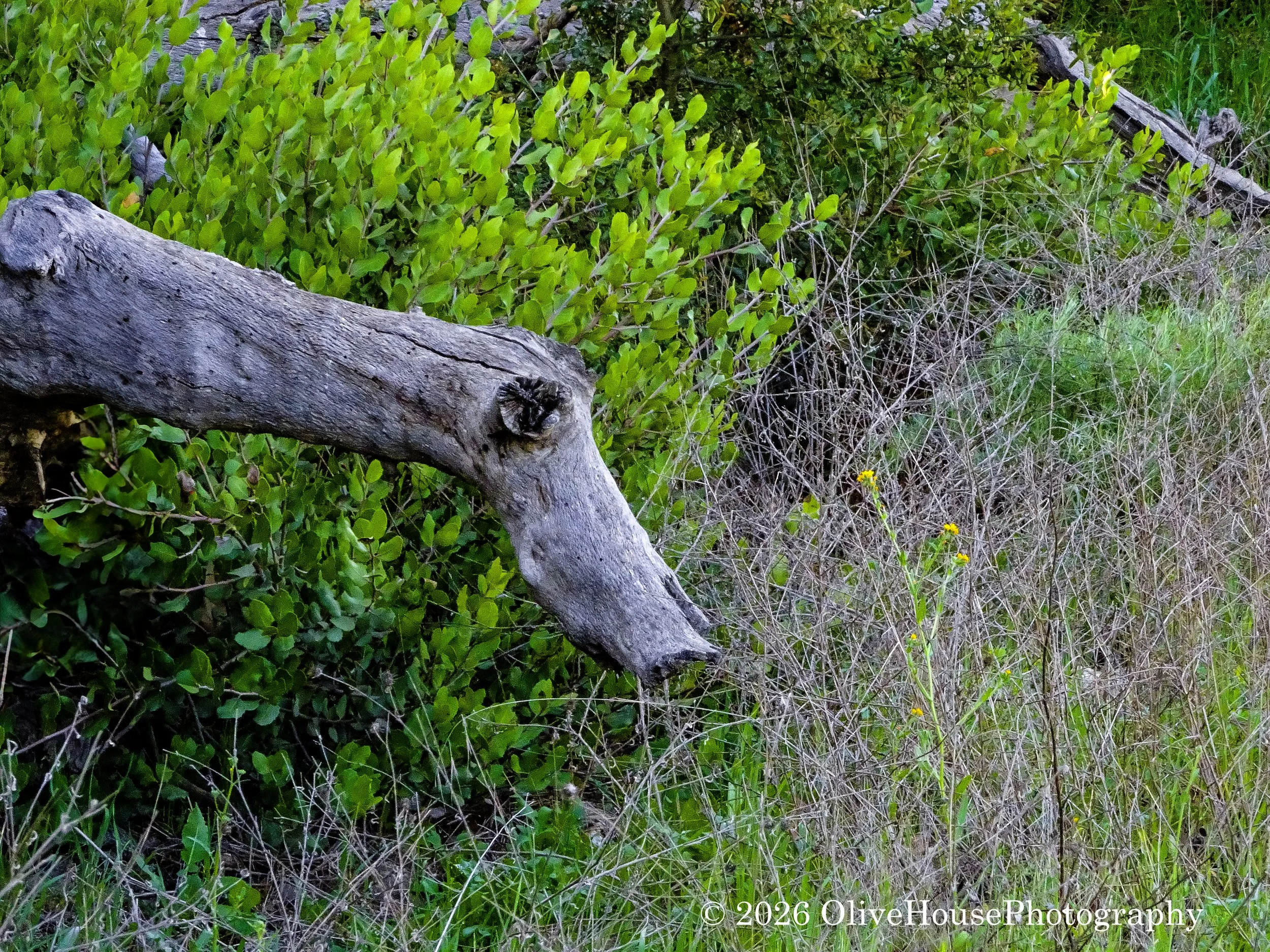 April 09, 2025 Time 0